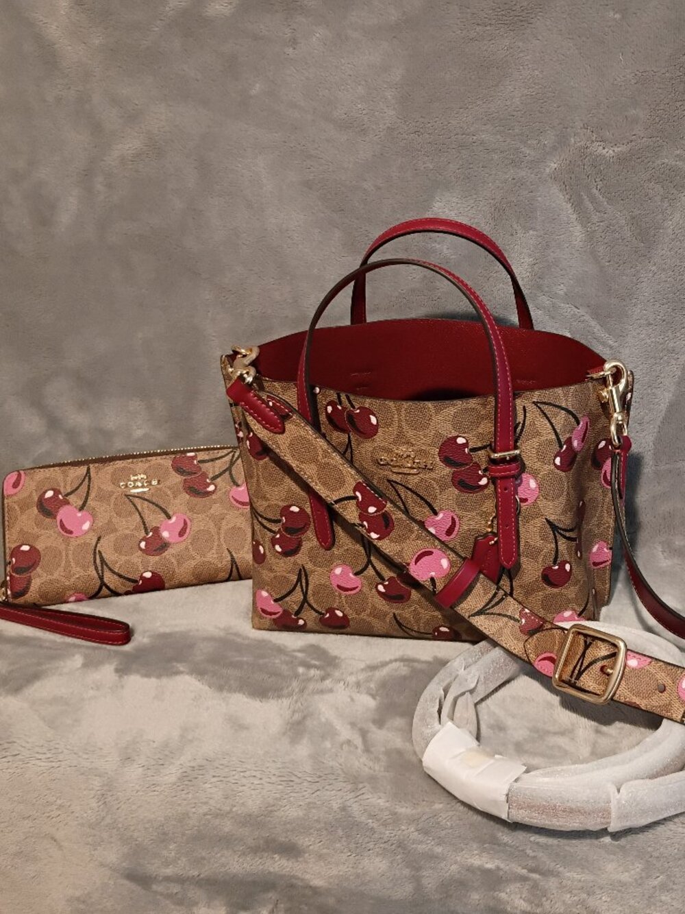 Coach Purse, Wallet and Reversible Strap